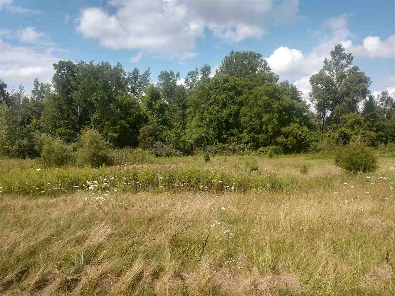 Linden, MI 48451,5208 Amelia Earhart