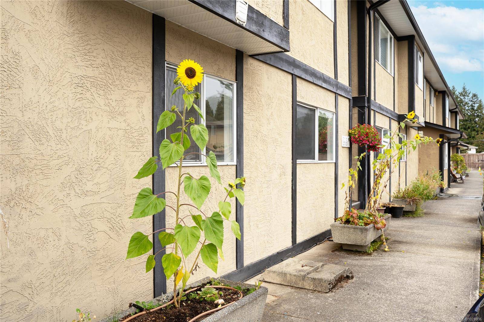 Duncan, BC V9L 2Y8,2525 Dingwall St #103