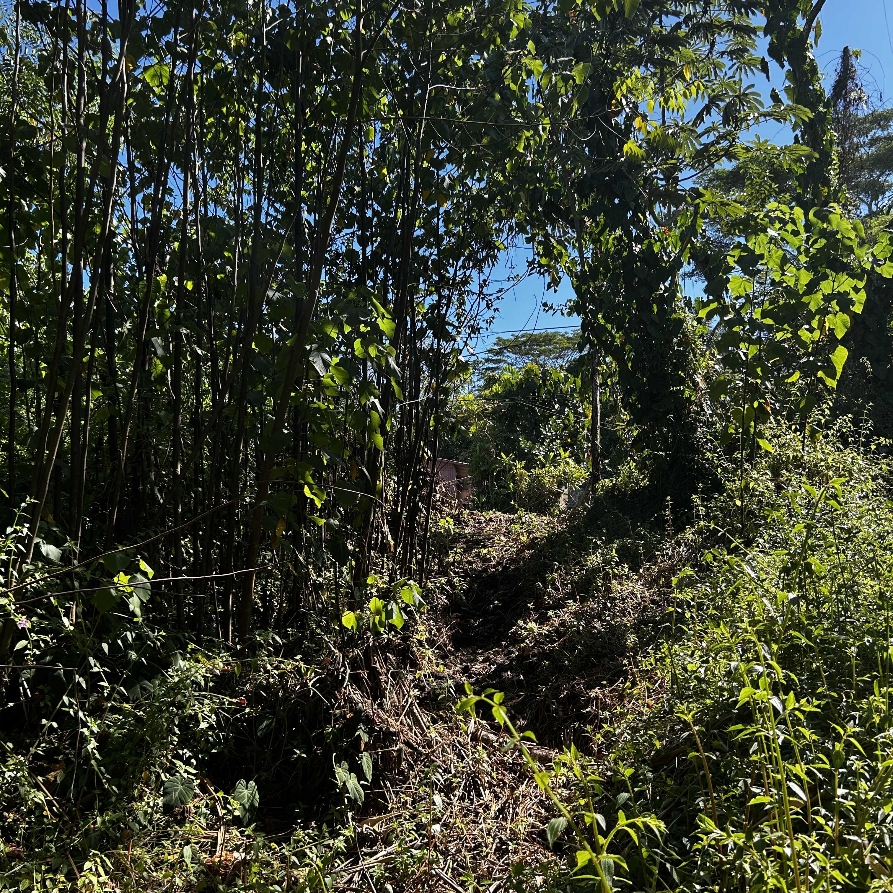 Pahoa, HI 96778,OOPU ST