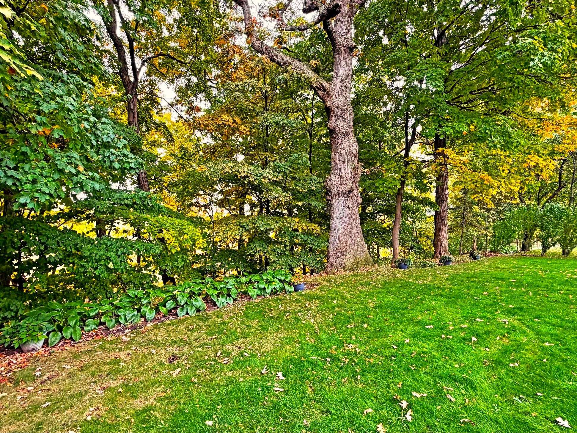 Oakville, ON L6L 5M7,3058 Viewmount RD