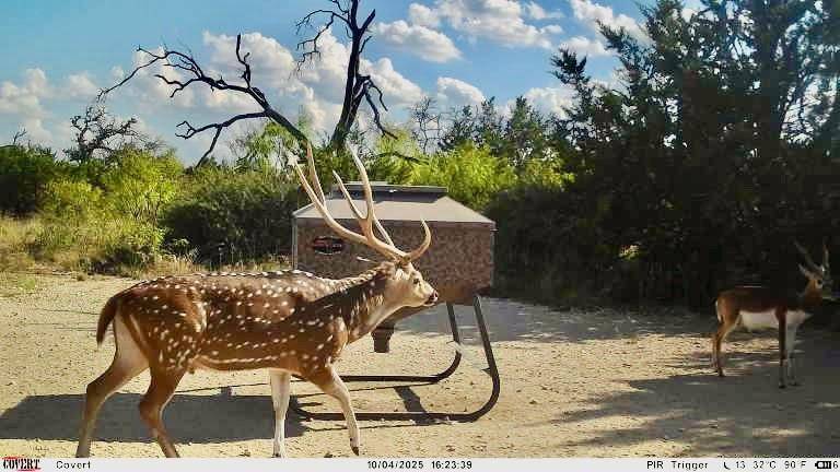 Goldthwaite, TX 76844,267 CR 112