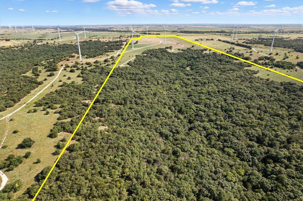 Muenster, TX 76252,3207 County Road 431