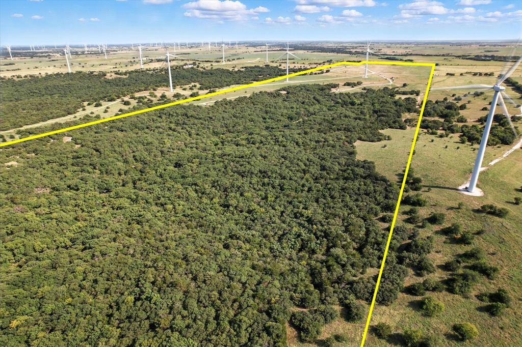 Muenster, TX 76252,3207 County Road 431