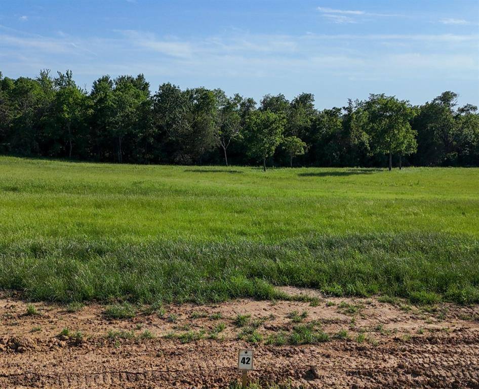 Windom, TX 75492,399 Harborside Terrace