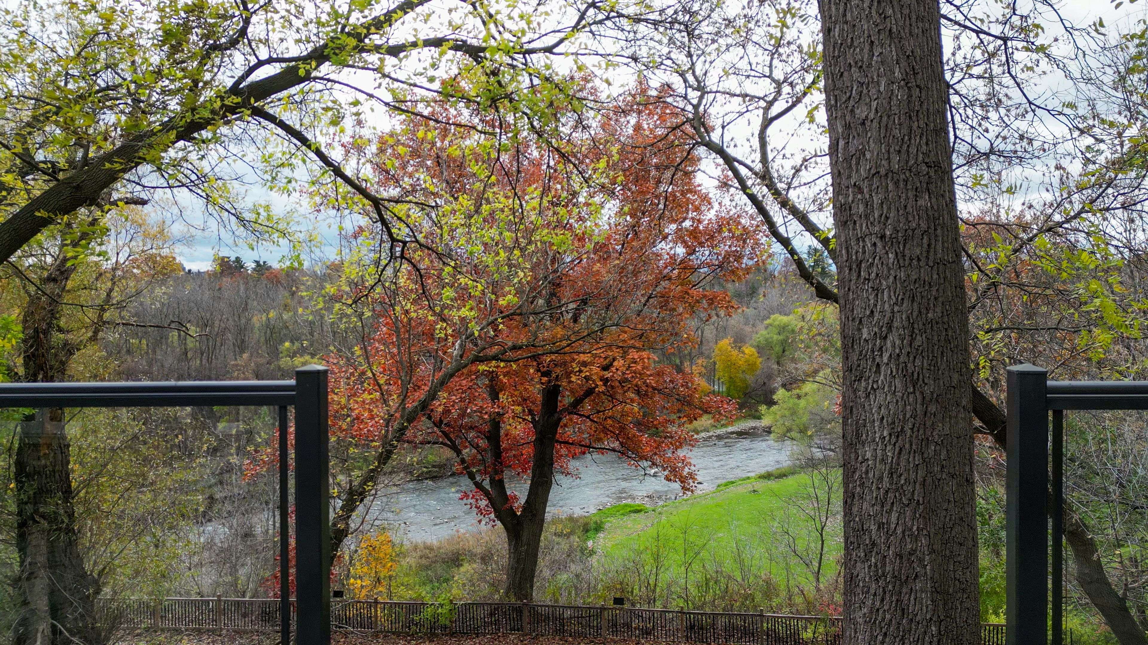 Mississauga, ON L5C 2P6,2552 Jarvis ST