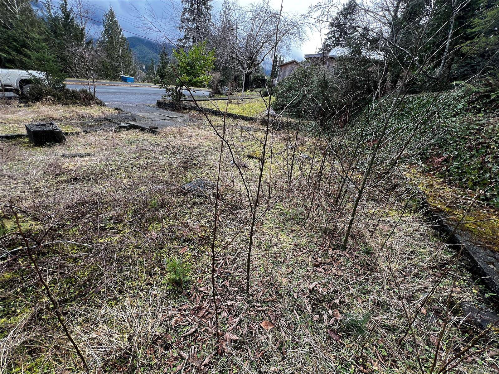 Tahsis, BC V0P 1X0,854 Maquinna Dr S