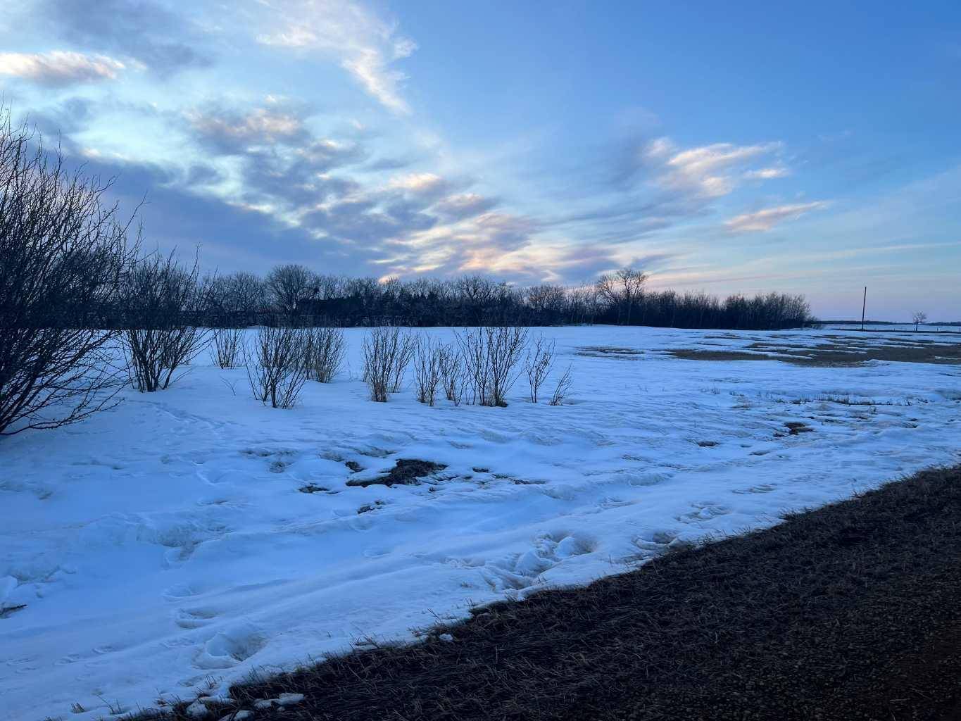 Rural Flagstaff County, AB T0B 4H0,RR 154 Twp Rd 434