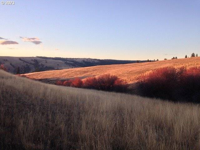 Enterprise, OR 97828,86137 CHESNIMNUS LN