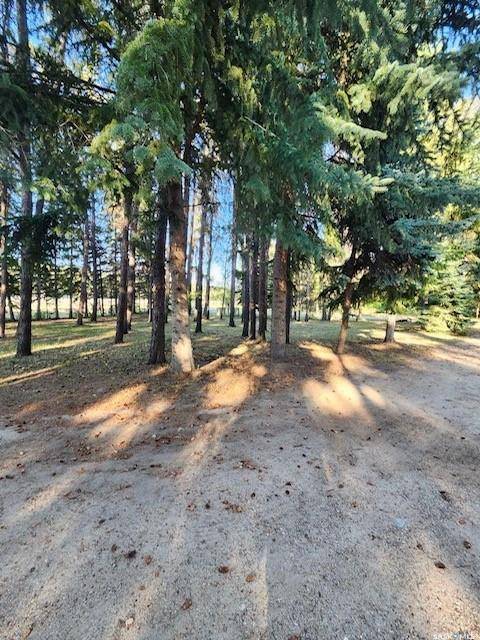 Buckland Rm No. 491, SK S6V 5R3,474 Pine DRIVE