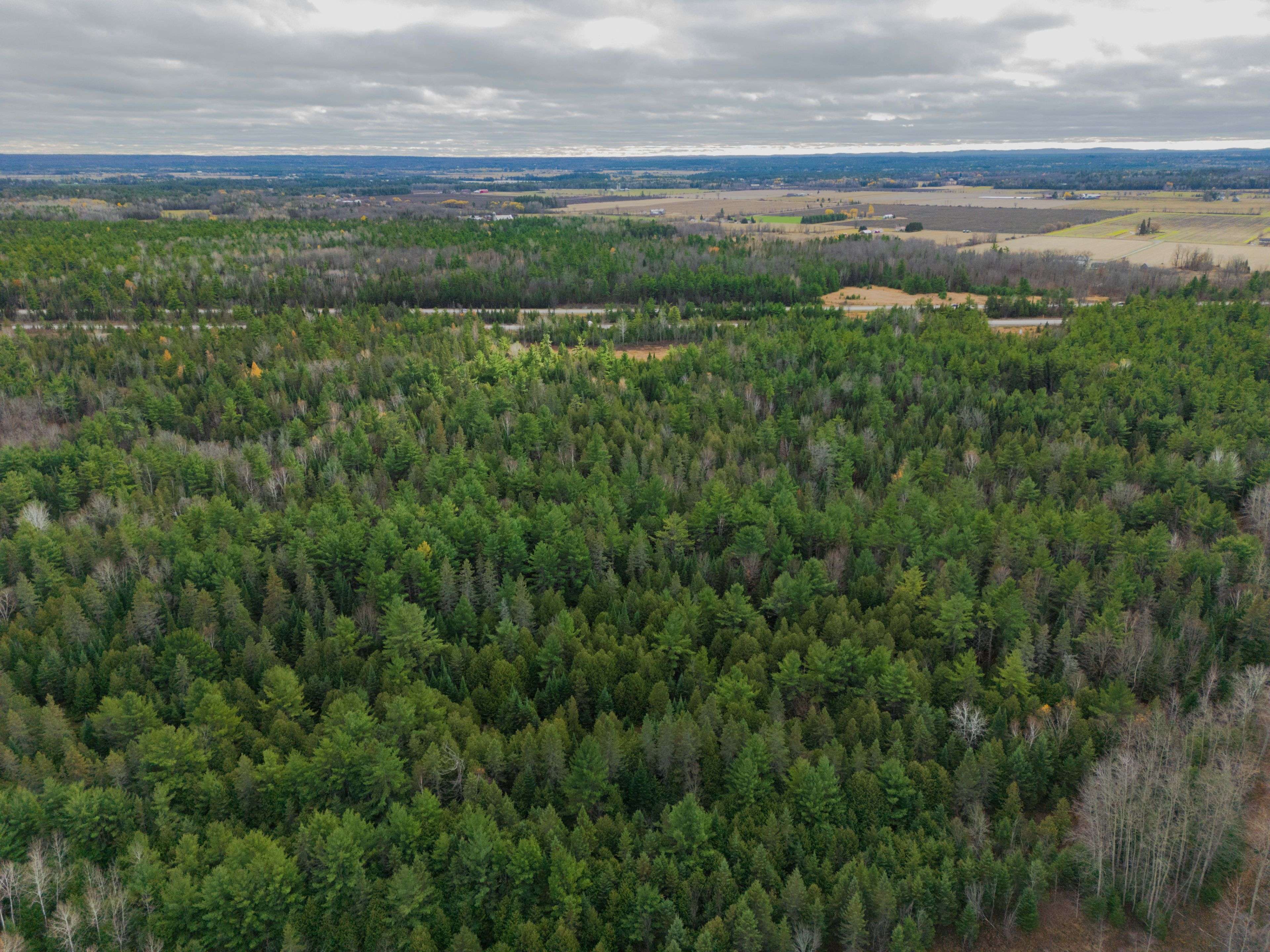 Mcnab/braeside, ON K7S 3G8,00 Scheel DR W