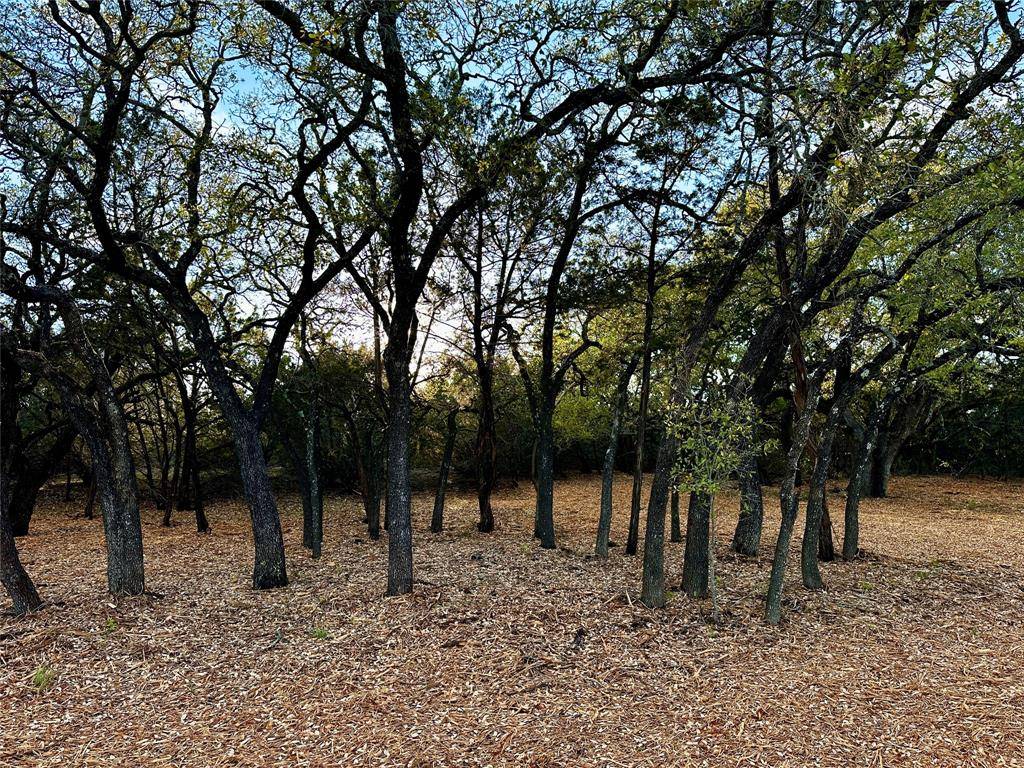 Jonesboro, TX 76538,3575B FM 932