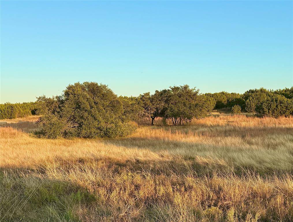 Jonesboro, TX 76538,3575B FM 932