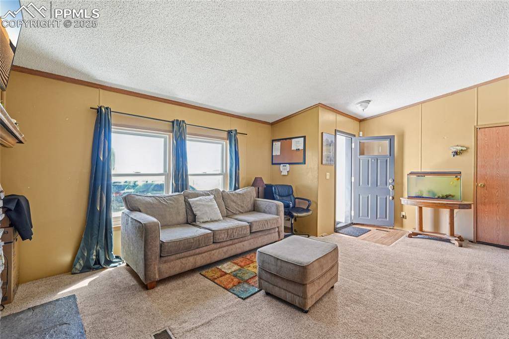 Fairplay, CO 80440,265 Trout RD