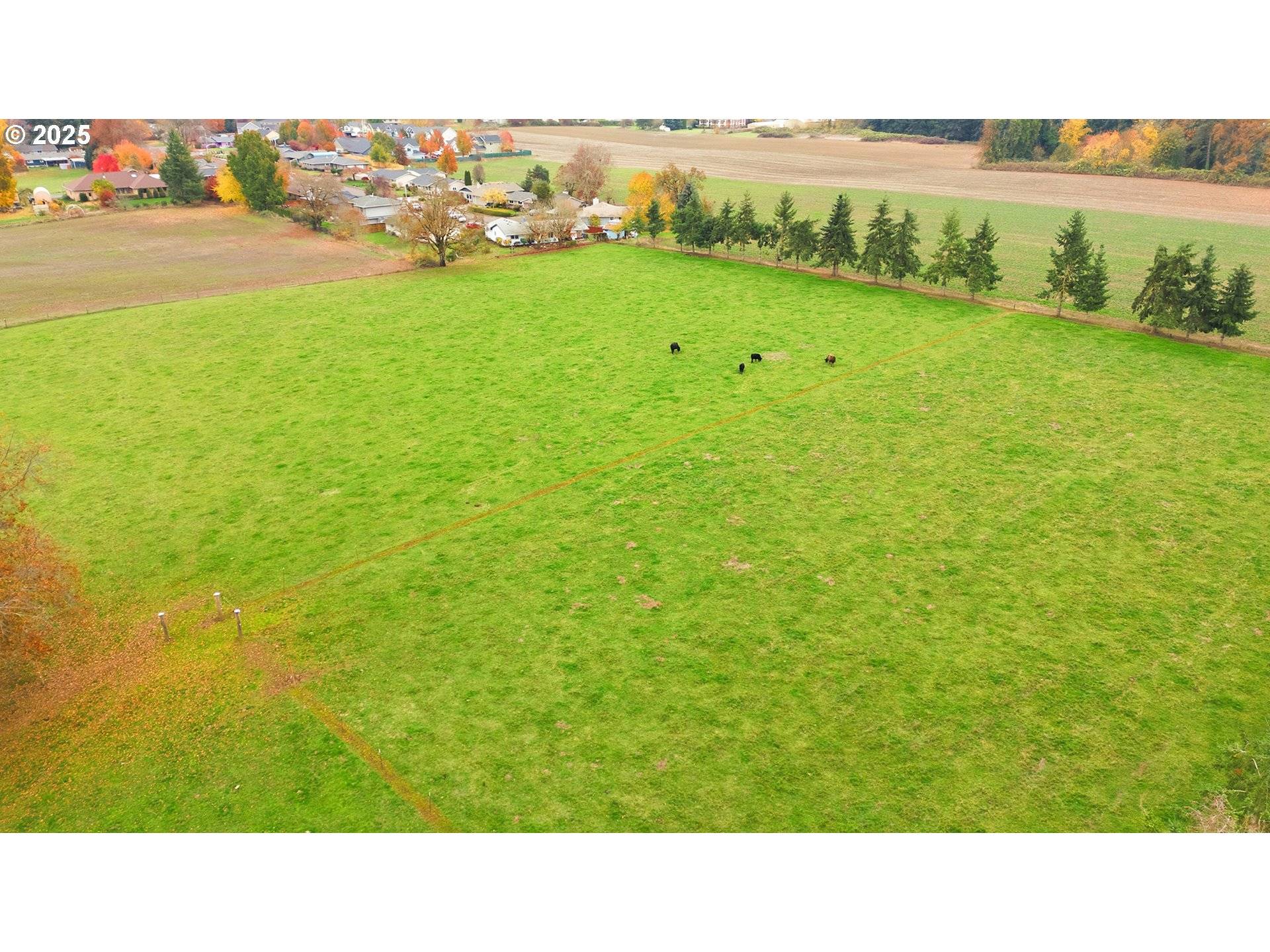 Mt Angel, OR 97362,12324 W CHURCH RD