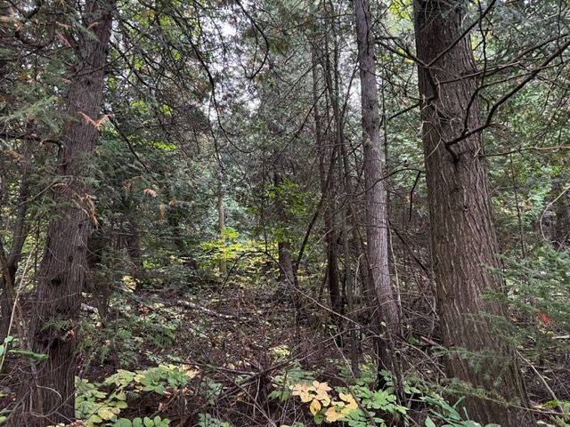 Saugeen Shores, ON N0H 2L0,4 SHORE RD