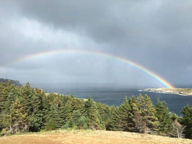 Flatrock, NL A1K 0M6,1 Wildberry Ridge