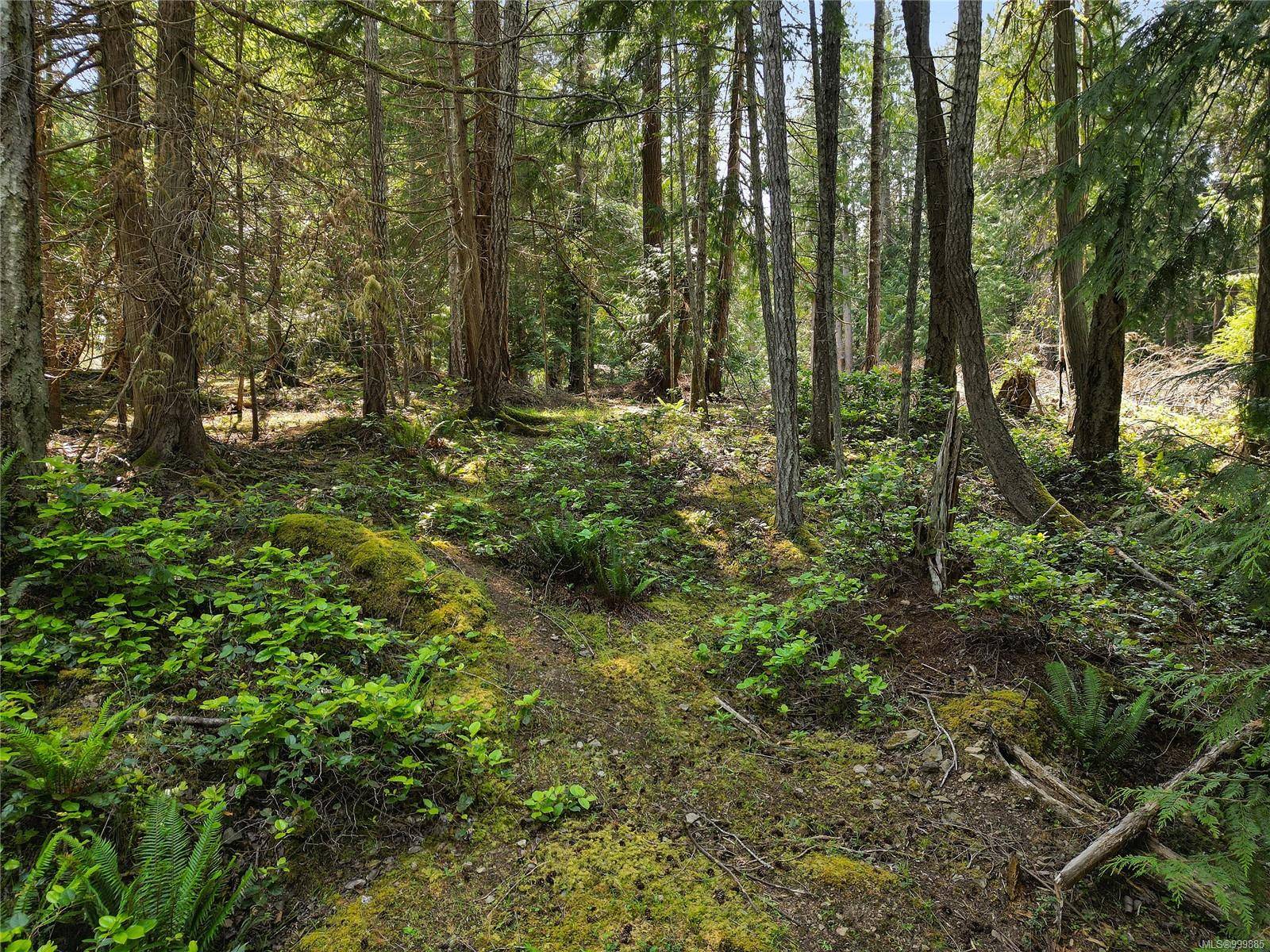 Mayne Island, BC V0N 2J1,568 Aya Reach Rd