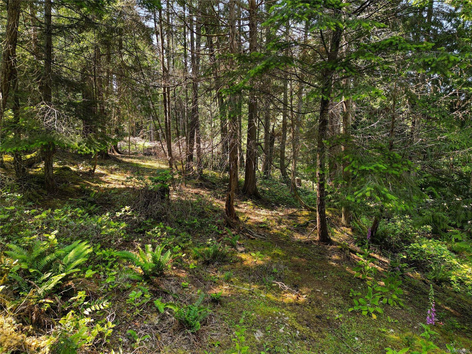 Mayne Island, BC V0N 2J1,568 Aya Reach Rd