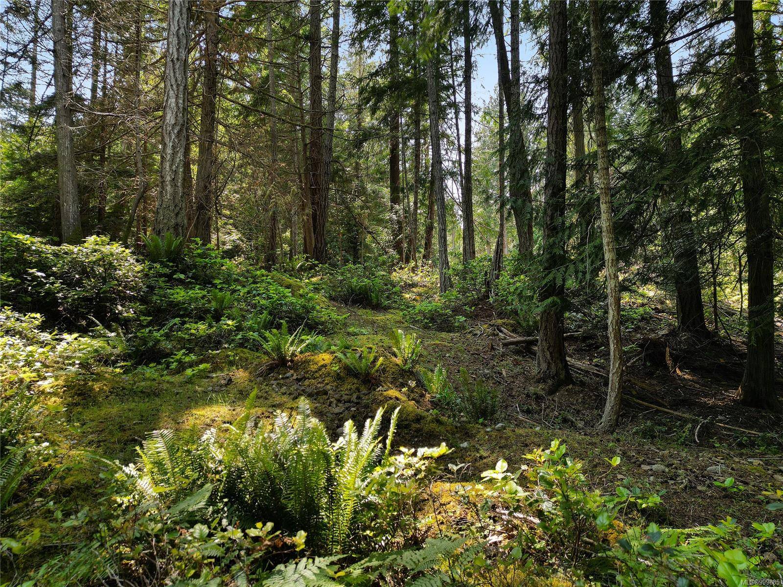 Mayne Island, BC V0N 2J1,568 Aya Reach Rd