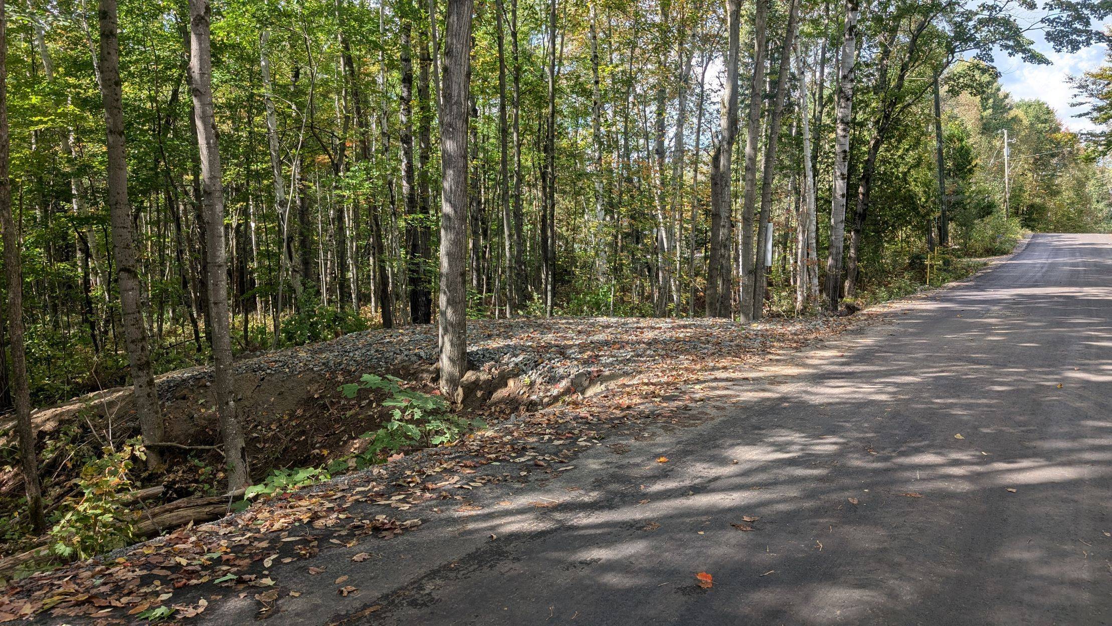 Lake Of Bays, ON P1H 2E8,Lot 1 Tally-Ho Winter Park RD