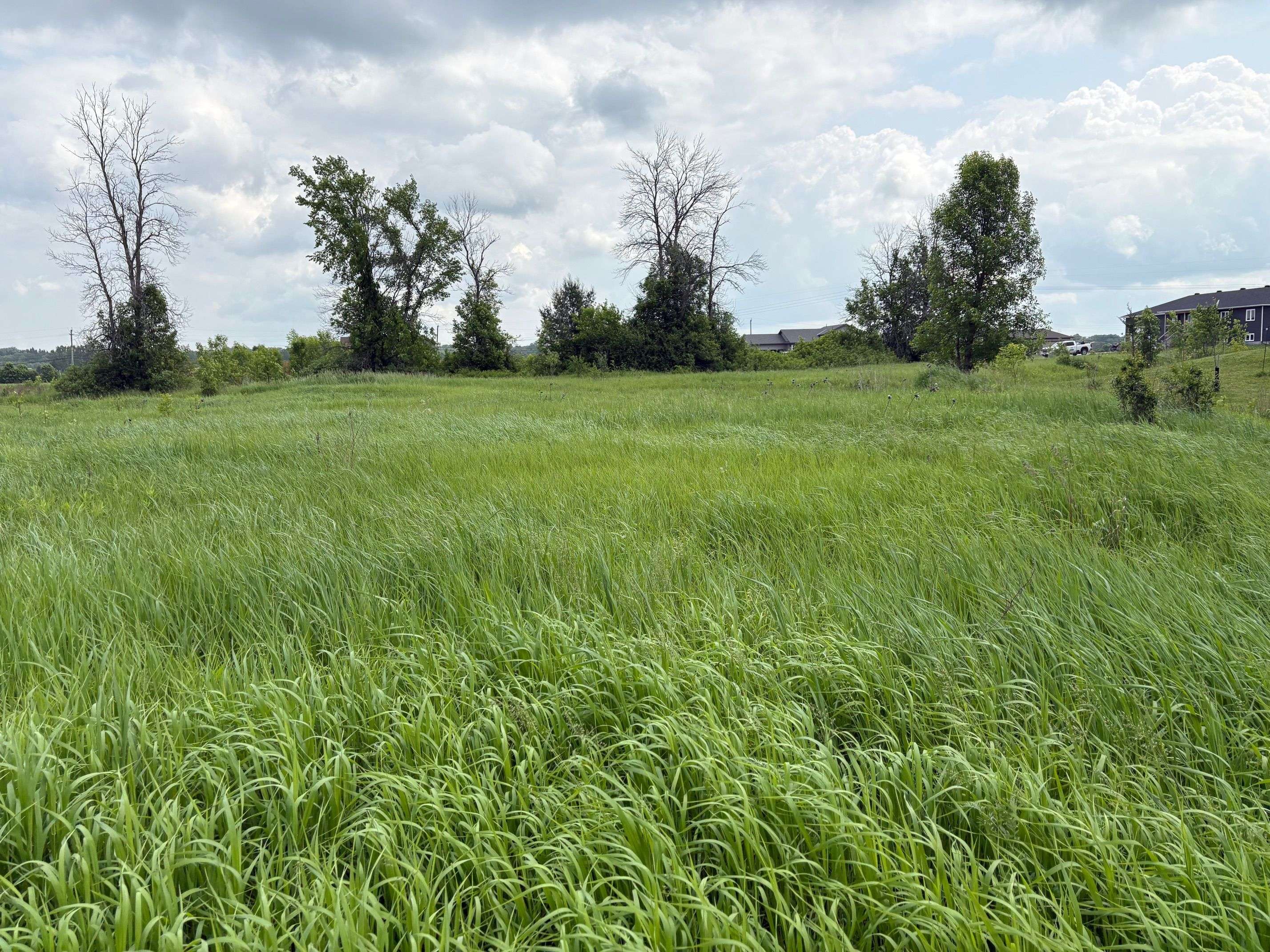 Carp - Dunrobin - Huntley - Fitzroy And Area, ON K0A 1X0,161 Old Pakenham RD