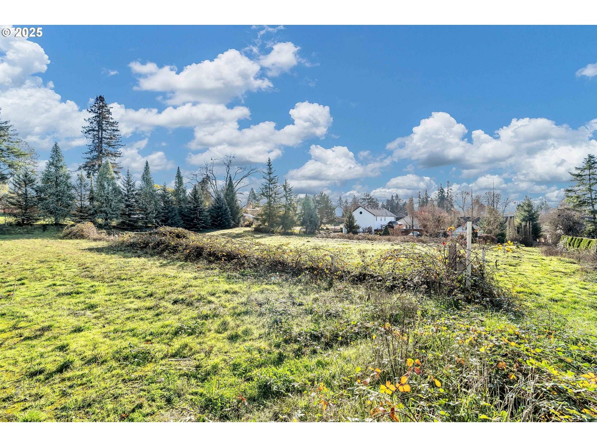 Carlton, OR 97111,601 S PARK ST