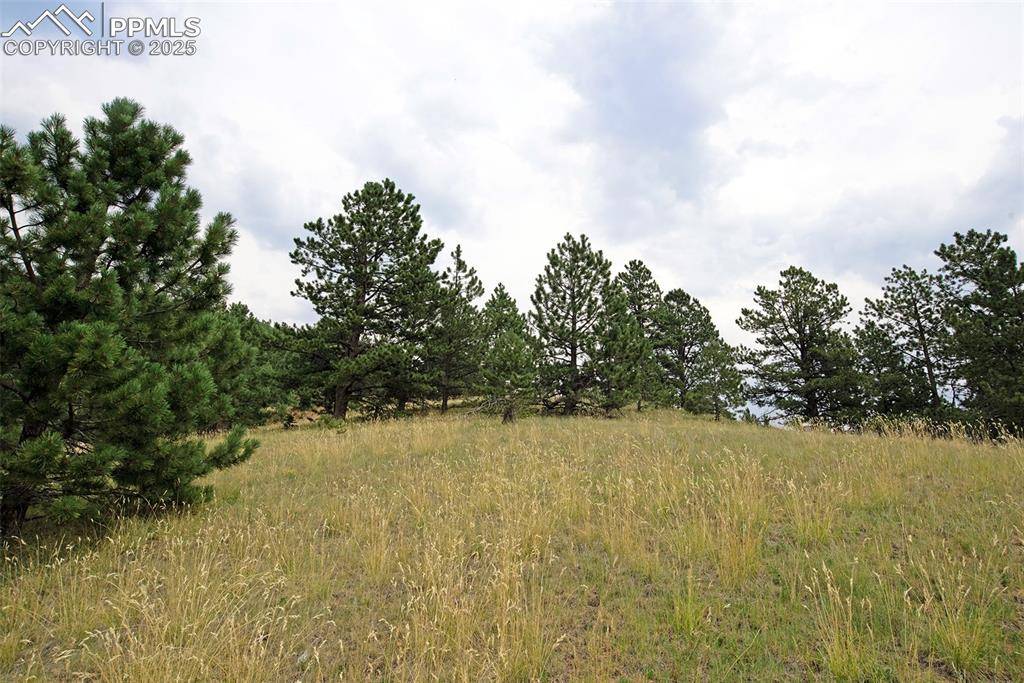 Cripple Creek, CO 80813,726 Copper Mountain DR