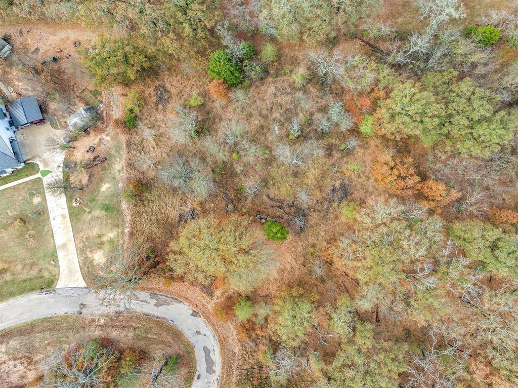 Alba, TX 75410,TBD Private Road 6374 Road