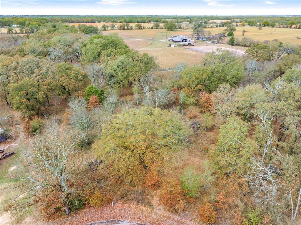 Alba, TX 75410,TBD Private Road 6374 Road