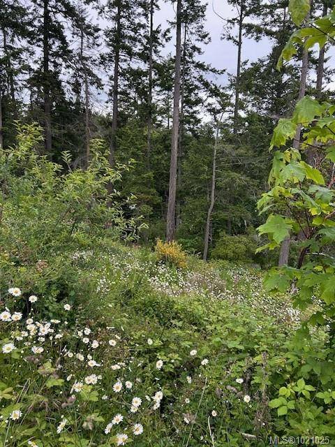 Metchosin, BC V9C 4B2,3857 Duke Rd