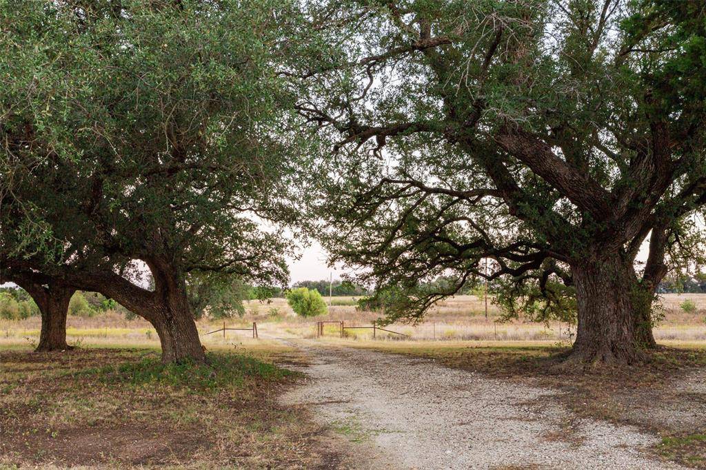 Cranfills Gap, TX 76637,5770 County Road 309