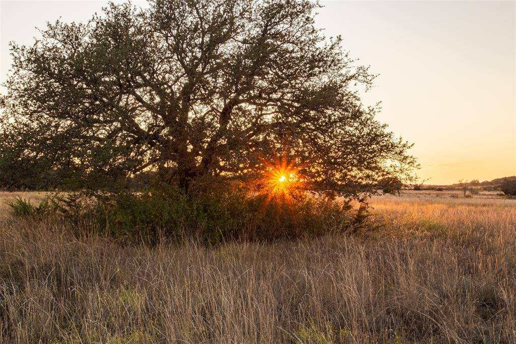 Cranfills Gap, TX 76637,5770 County Road 309