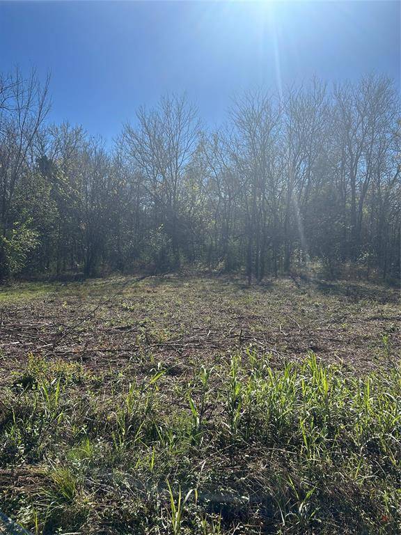 Honey Grove, TX 75446,TBD cr 27300