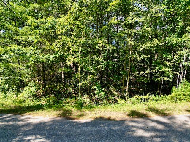 Tiny, ON L0L 2T0,Lot 14 Pineshore CRES