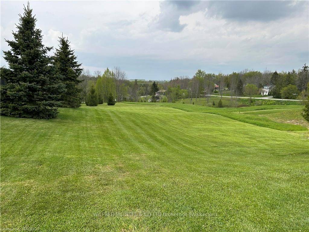 Arran-elderslie, ON N0G 2N0,PT LT 11 Balaklava ST