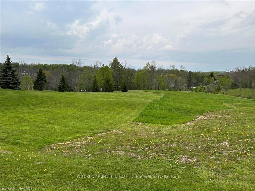 Arran-elderslie, ON N0G 2N0,PT LT 11 Balaklava ST