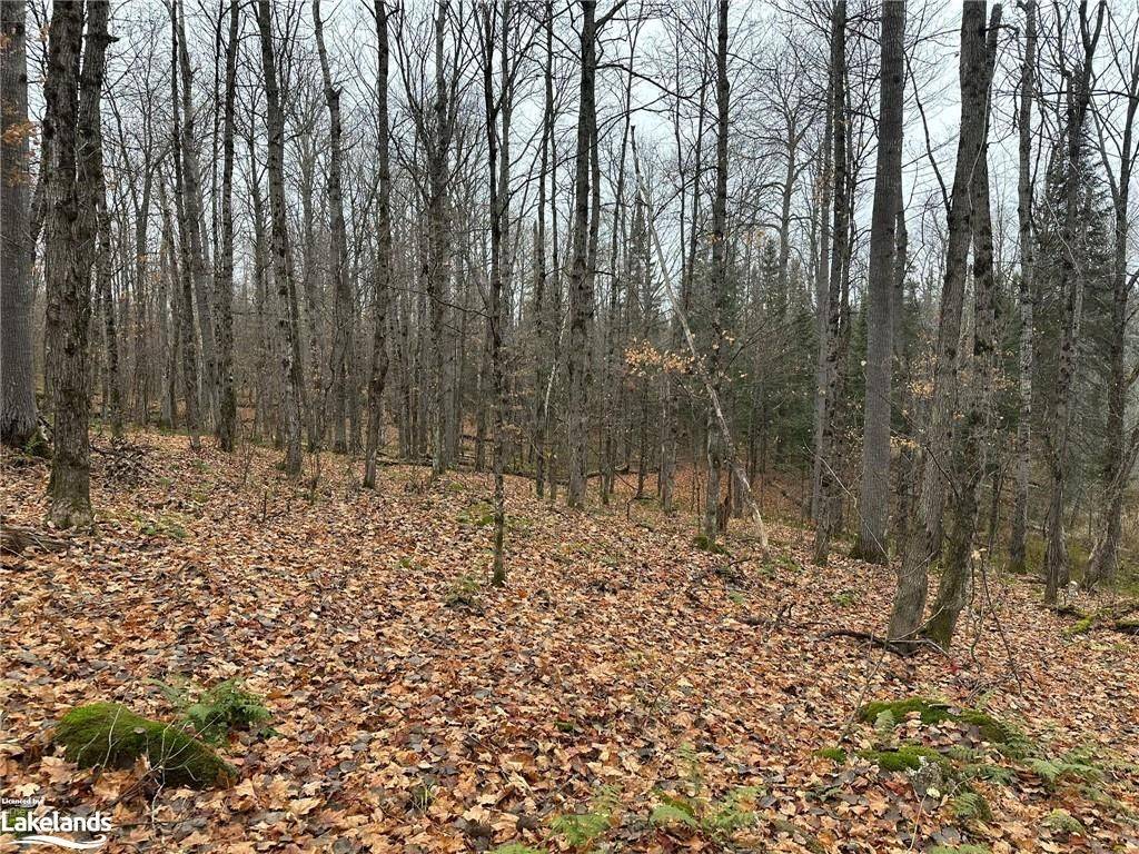 Ryerson, ON P0A 1C0,LOT 2 HILL AND GULLY RD