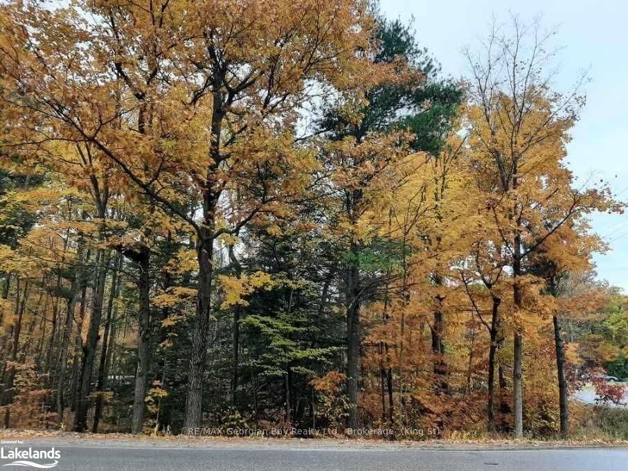 Tiny, ON L9M 0H9,Lot 354 Desroches Trail N/A NW