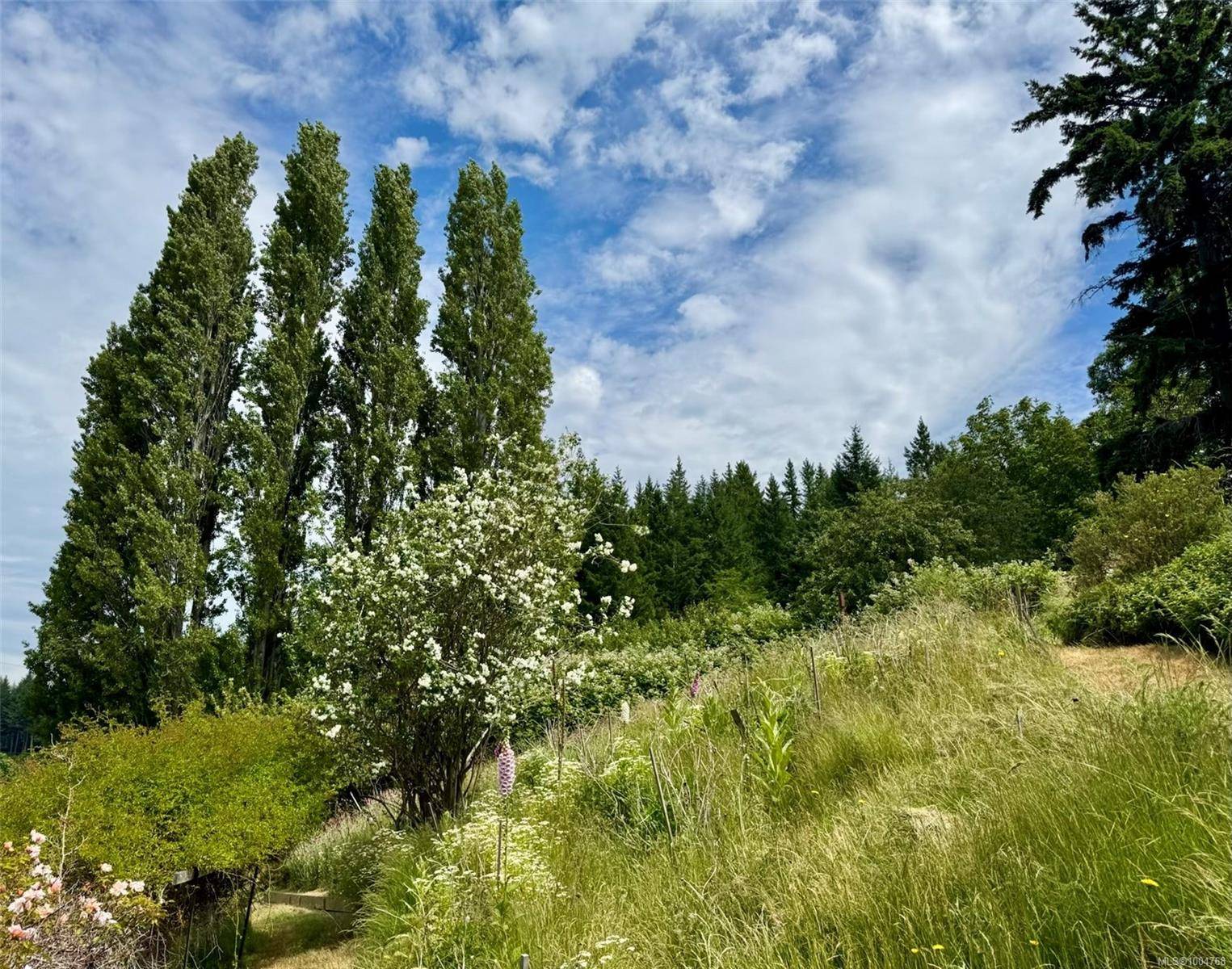 Cortes Island, BC V0P 1K0,482 Smelt Bay Rd