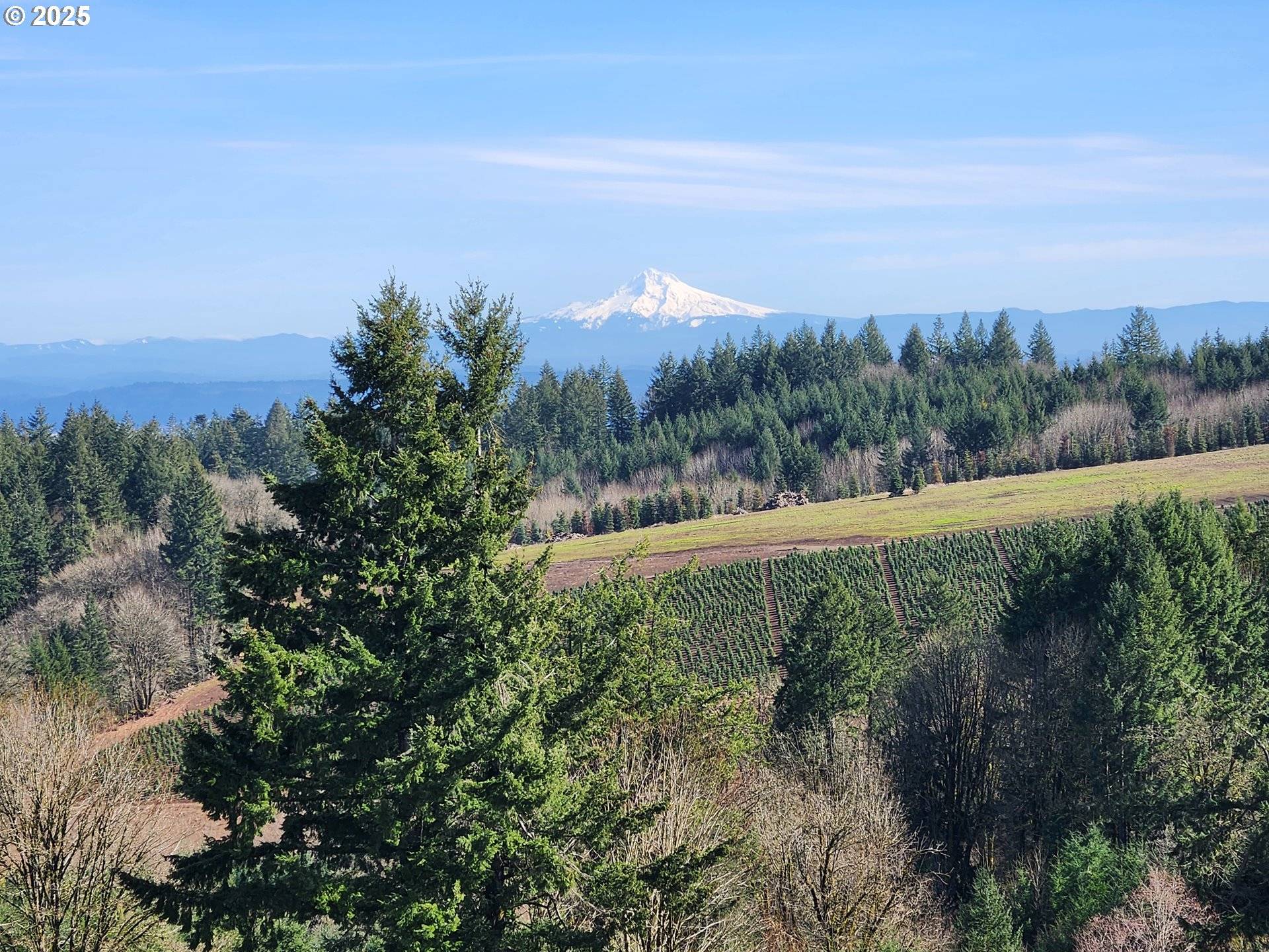 Newberg, OR 97132,19340 NE BROOKS LN