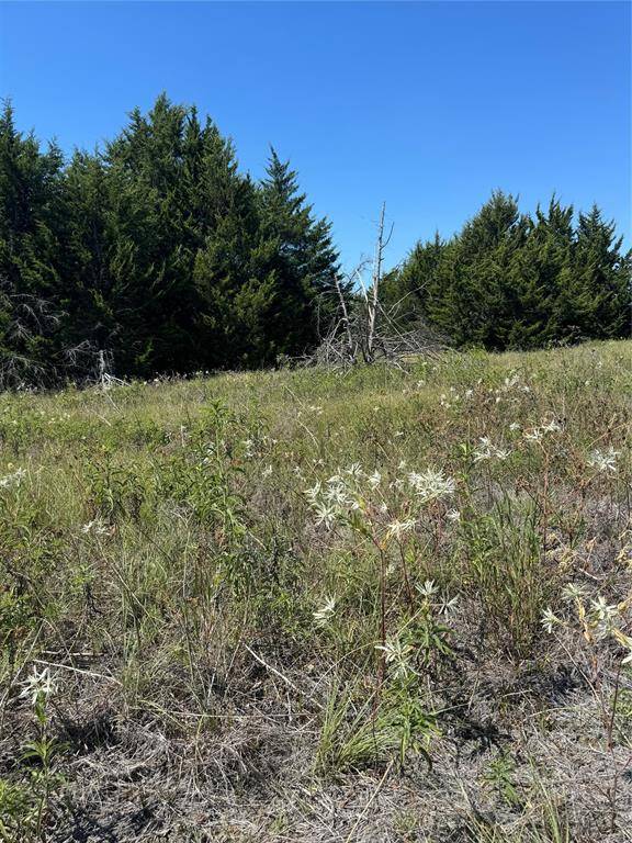 Ferris, TX 75125,1080 Fm 983