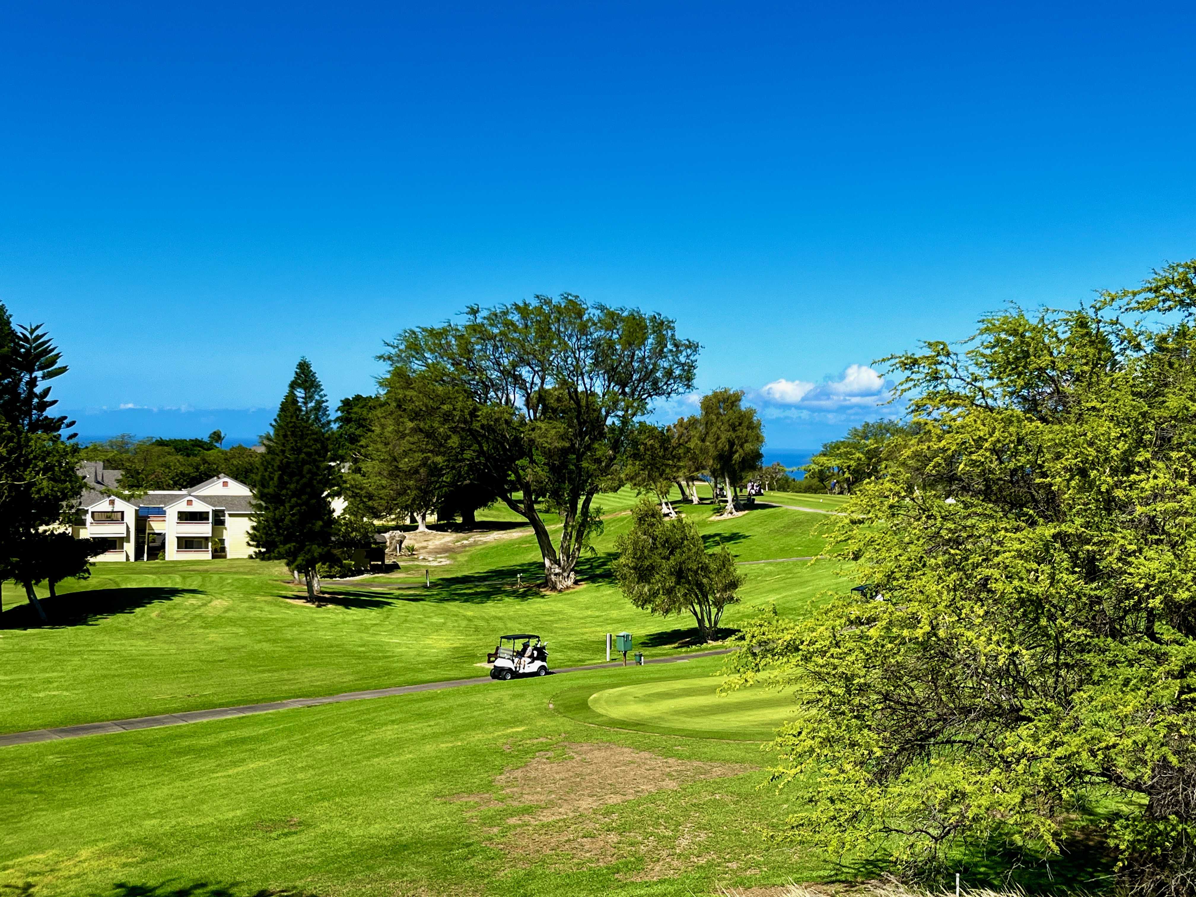 Waikoloa, HI 96738,68-3868 PANIOLO AVE #C201