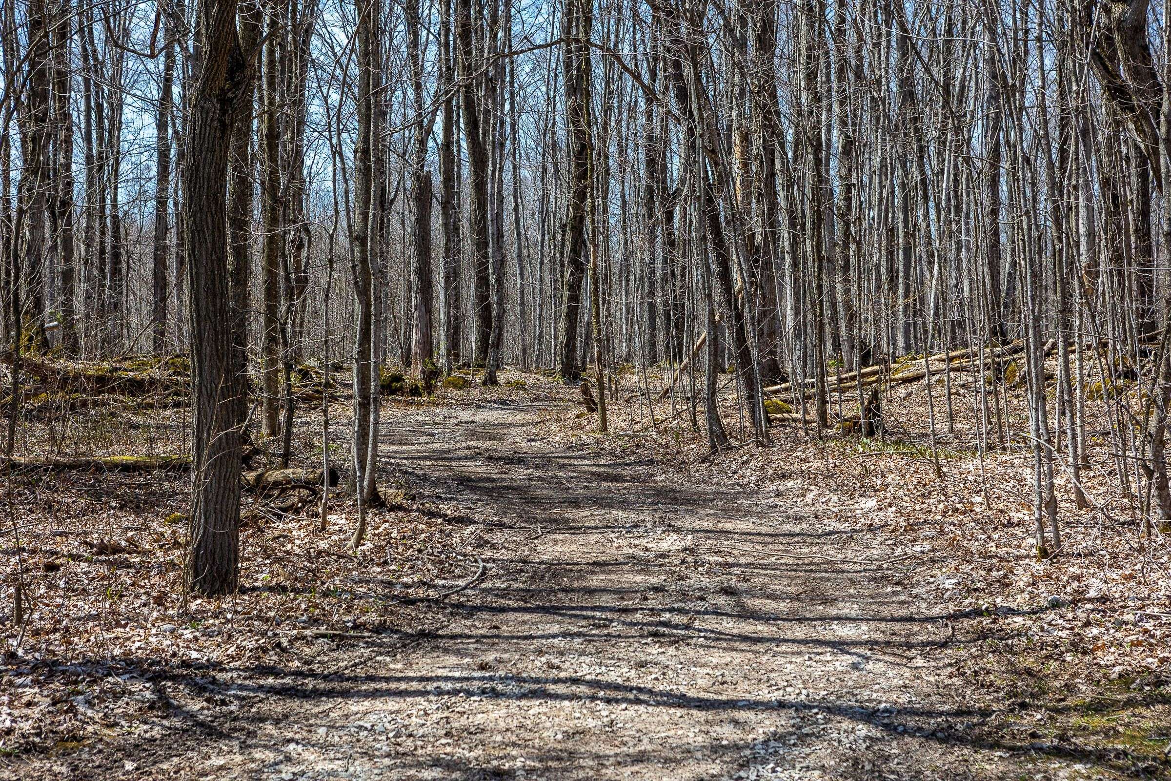 Georgian Bluffs, ON N4K 5N7,126 West ST