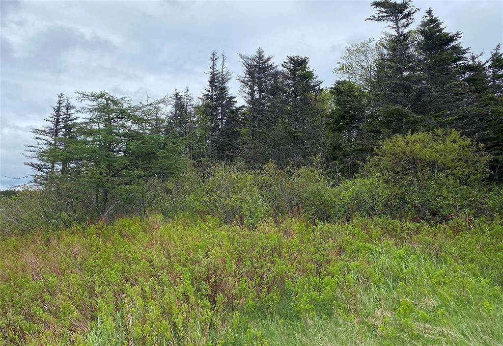 Pouch Cove, NL A1K 1C8,2 Spruce Grove Drive