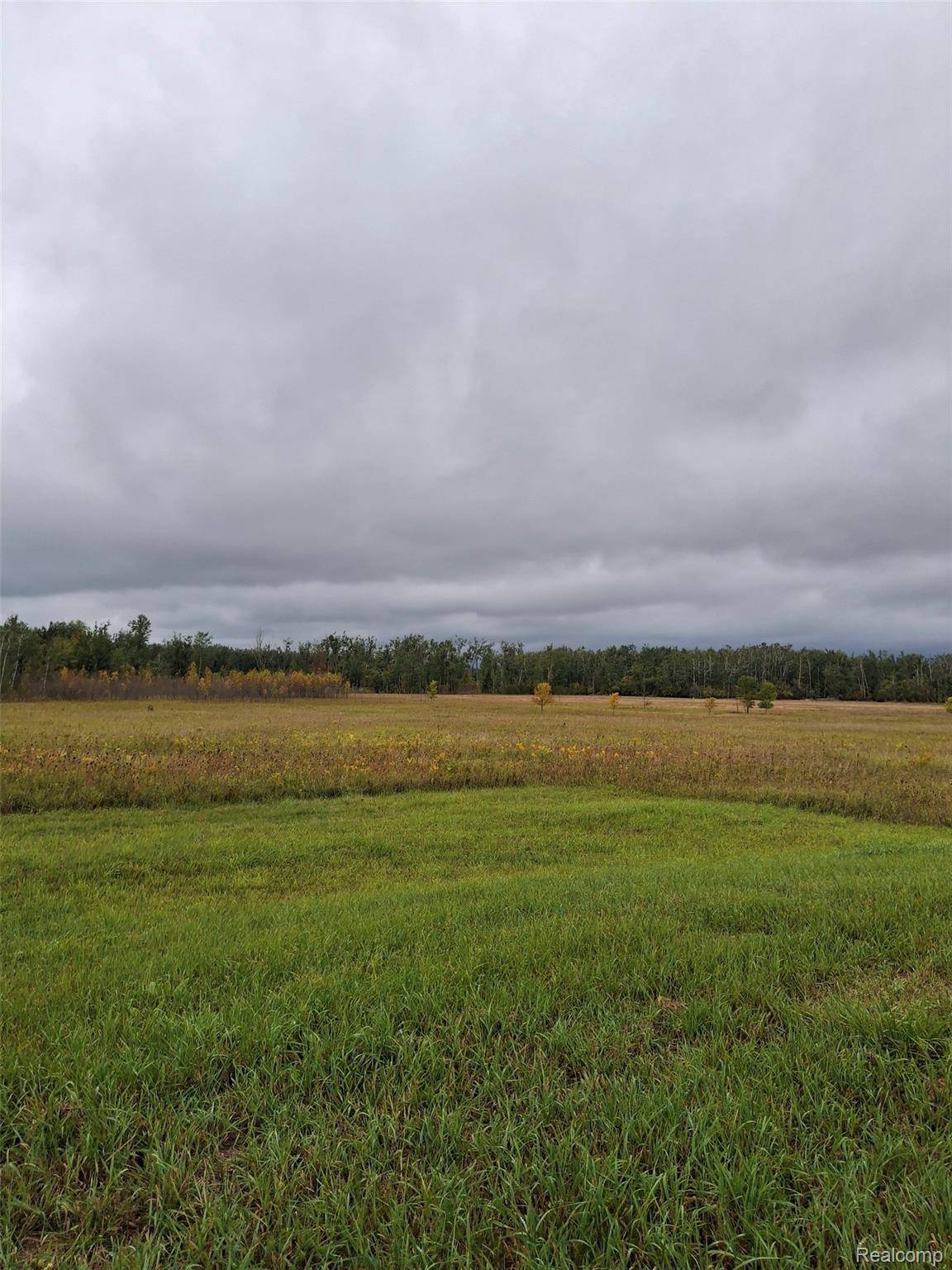 Cheboygan, MI 49721,8596 Ross RD