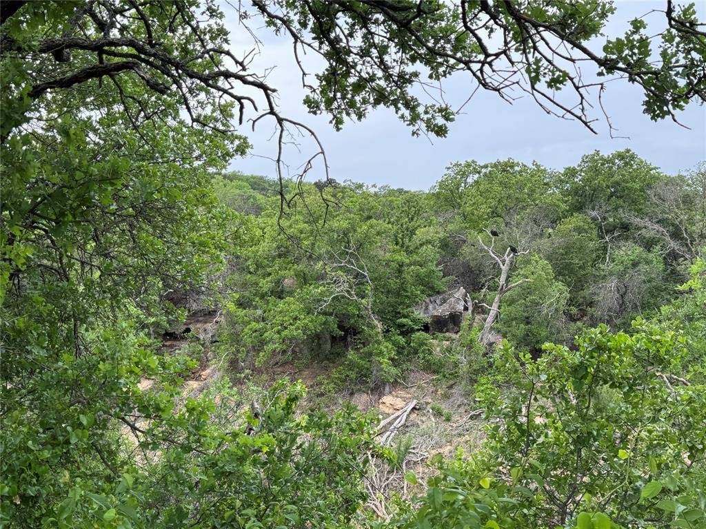 Cisco, TX 76437,Lot 83 Shoreline Drive