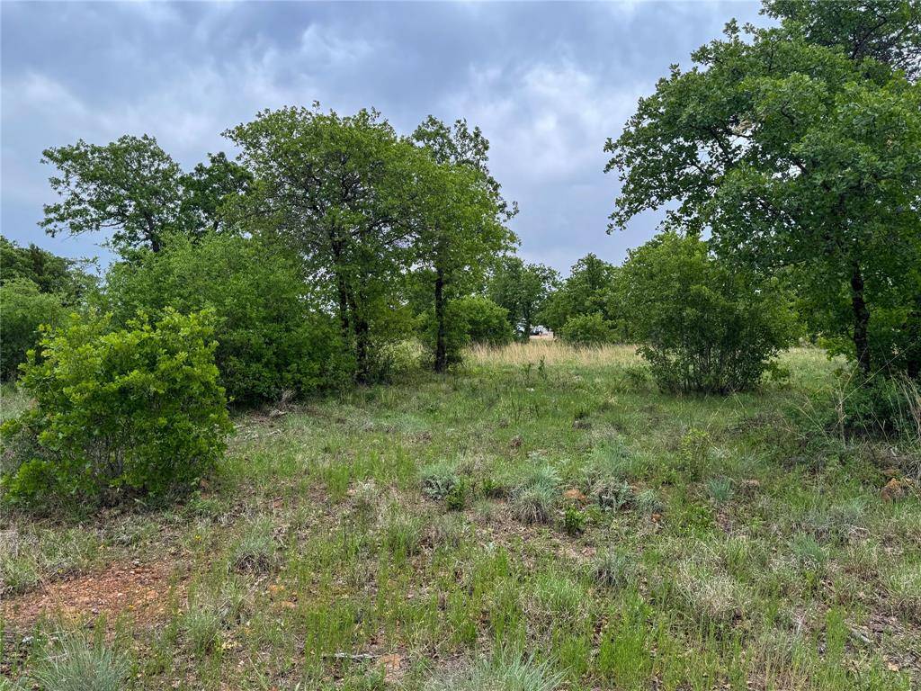 Cisco, TX 76437,Lot 83 Shoreline Drive