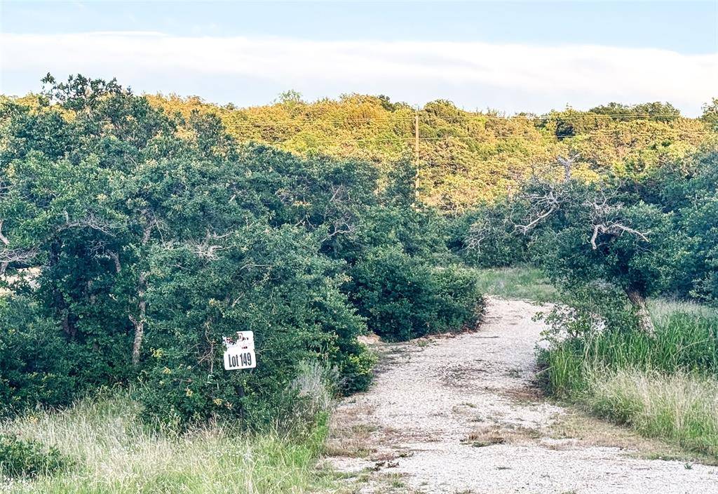 Lot 149 Hidden Shores Drive, Cisco, TX 76437