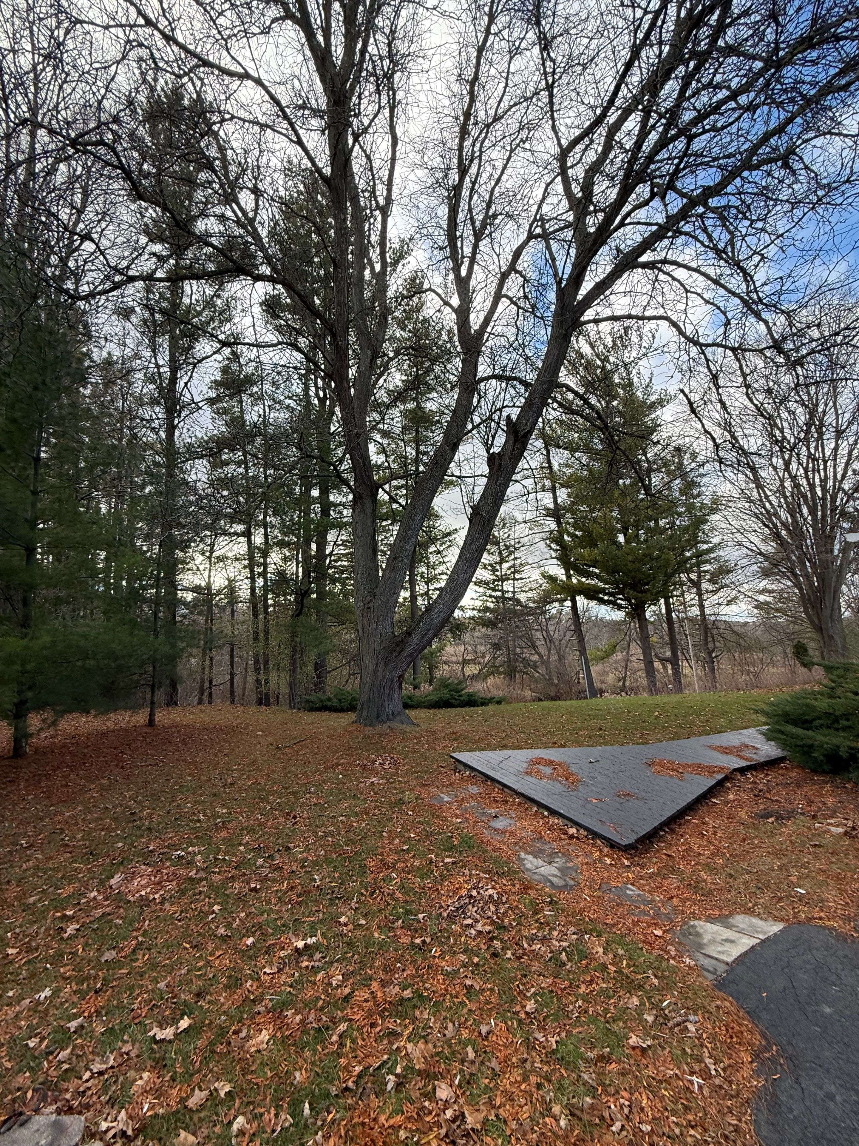 Markham, ON L6C 0J9,10 Yorkton BLVD