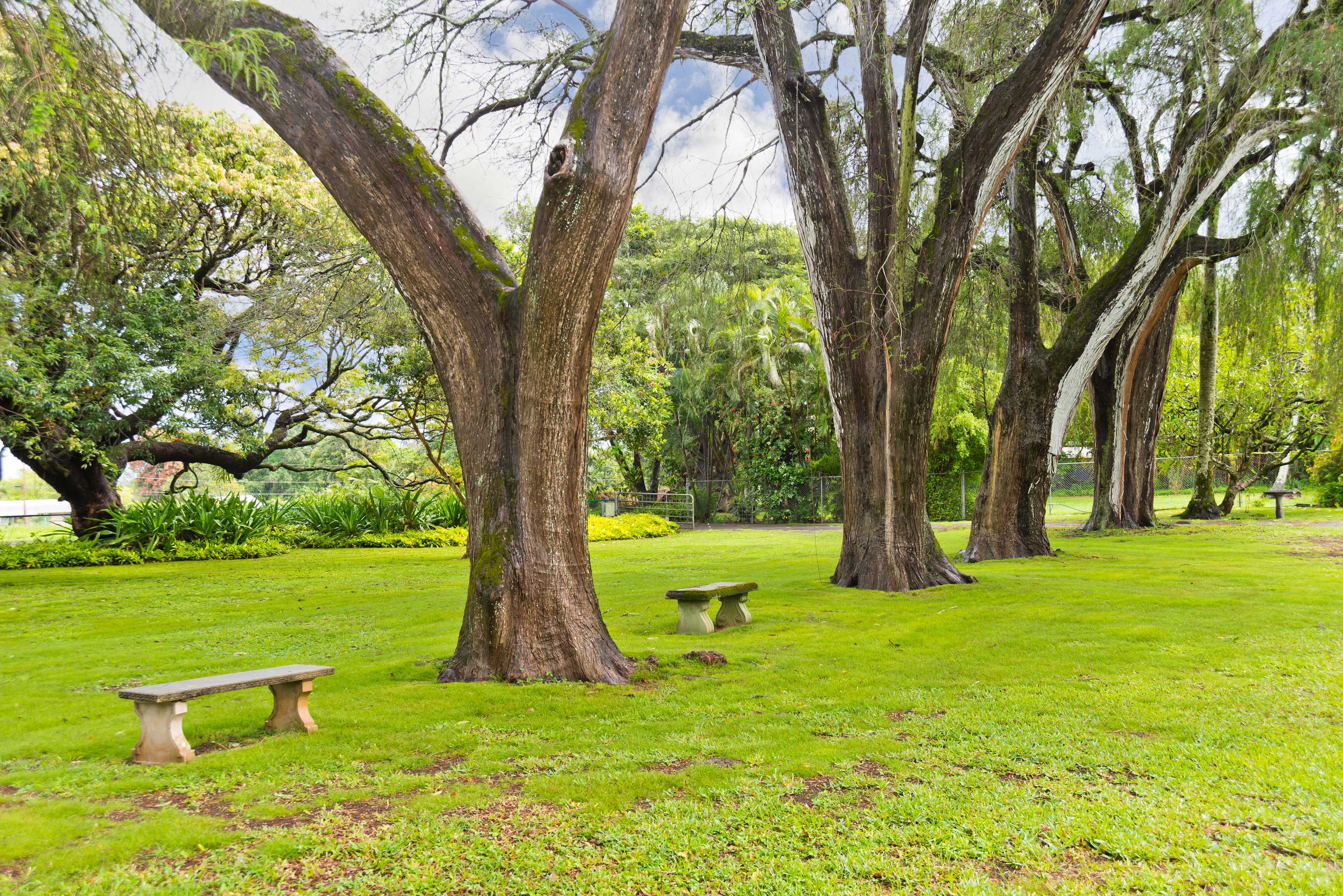 Kapaau, HI 96755,54-333 UNION MILL RD